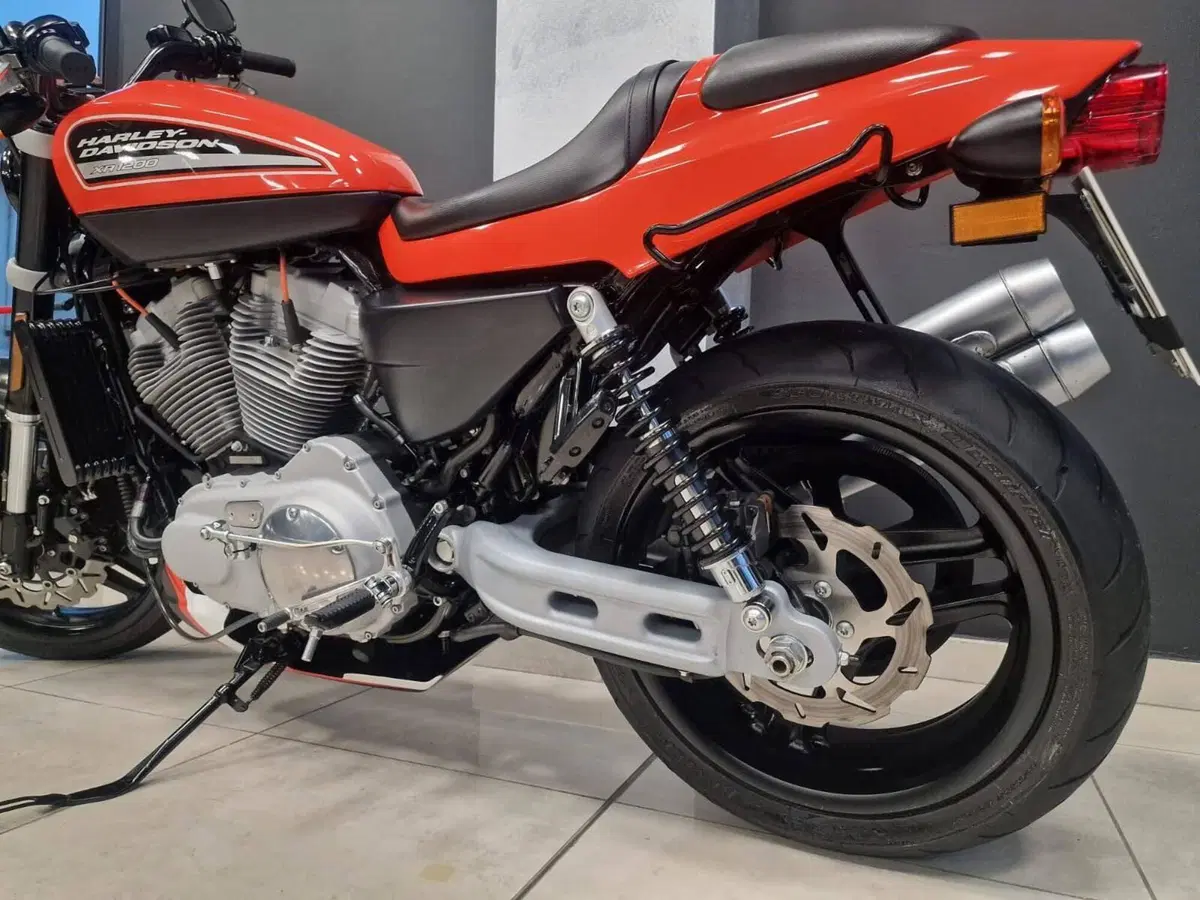 Harley-Davidson 1200 XR (2009 - 12) (6)