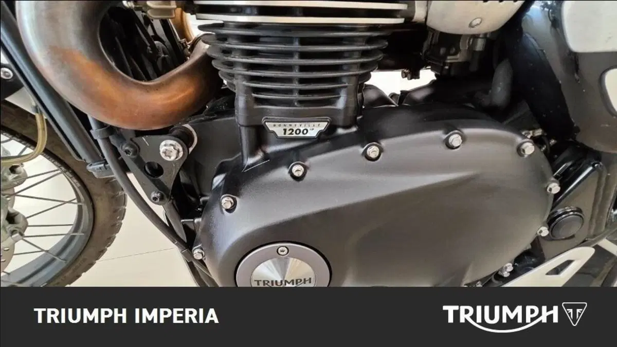 Triumph Scrambler 1200 XC (2019 - 20) (5)