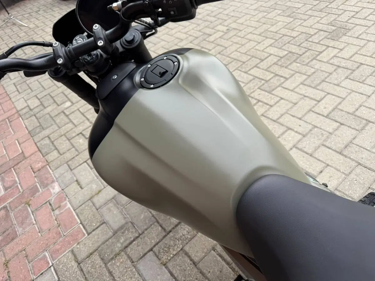 Royal Enfield Guerrilla 450 (2024 - 26) (8)