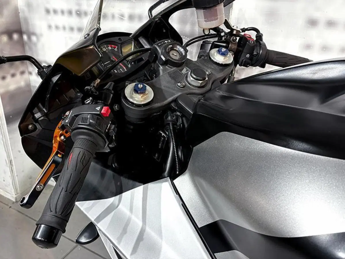 Honda CBR 600 RR (2007 - 08) (4)