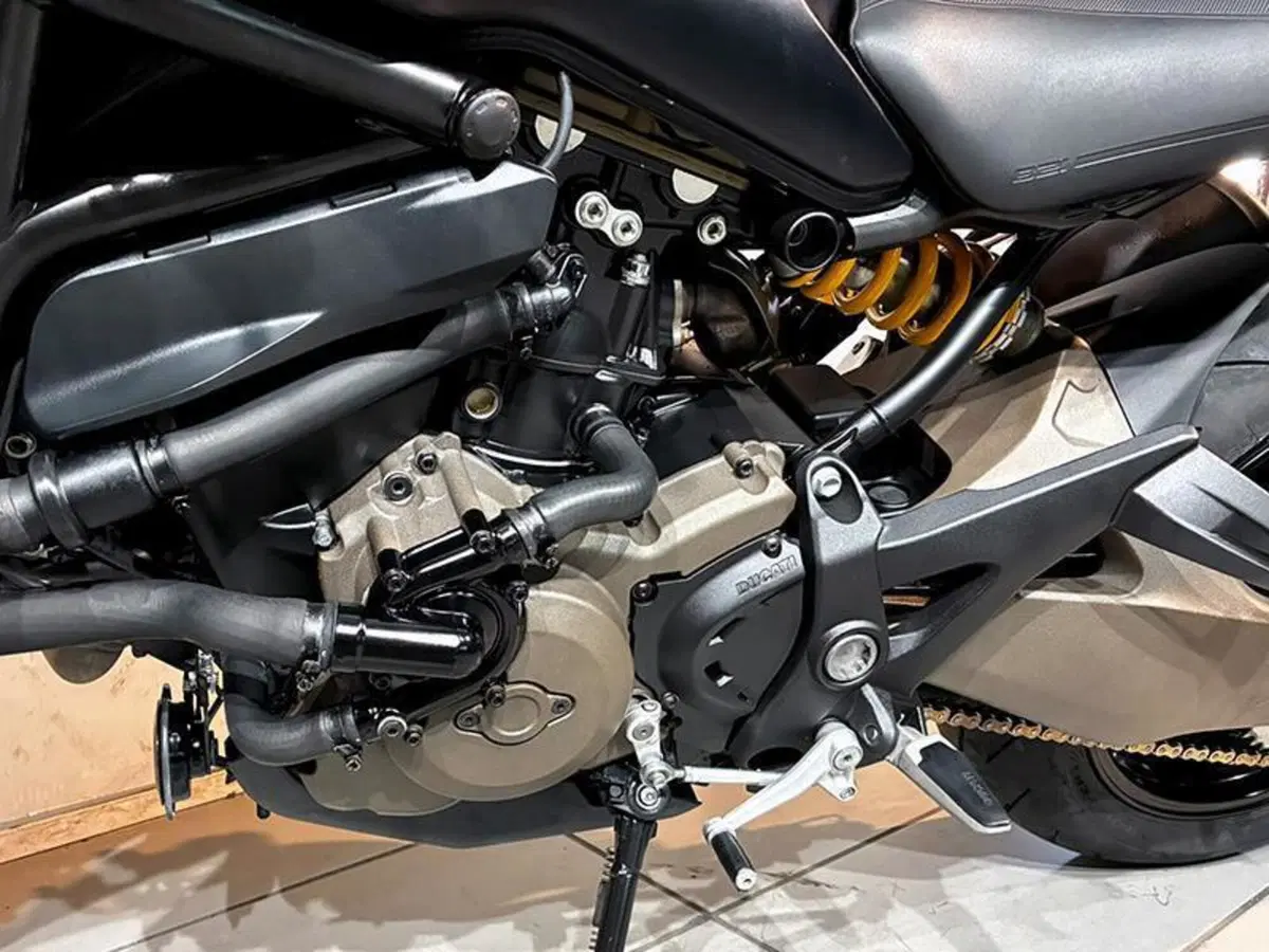 Ducati Monster 821 ABS (2014 - 17) (6)
