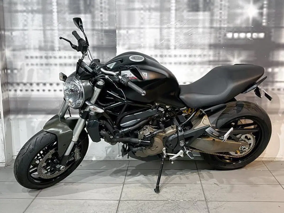 Ducati Monster 821 ABS (2014 - 17) (7)