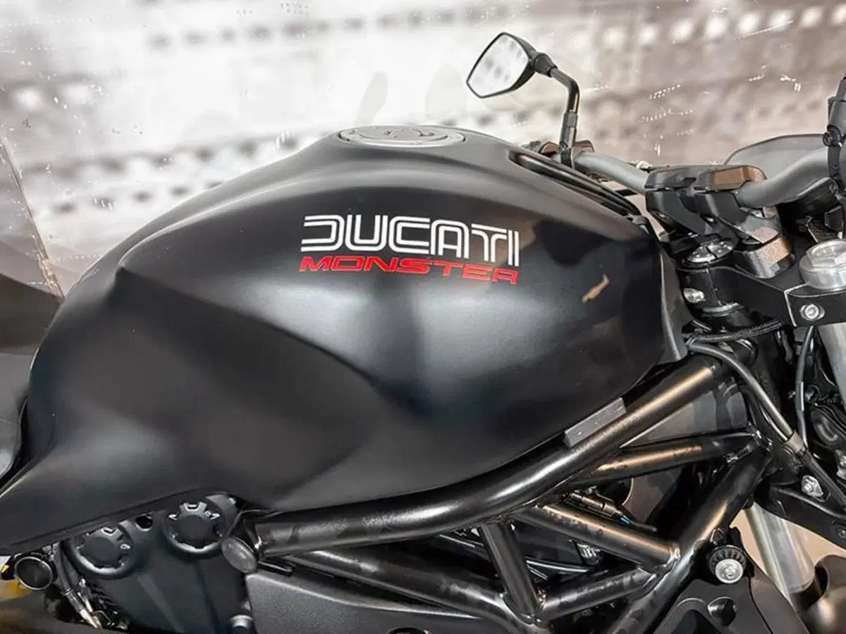 Ducati Monster 821 ABS (2014 - 17) (8)