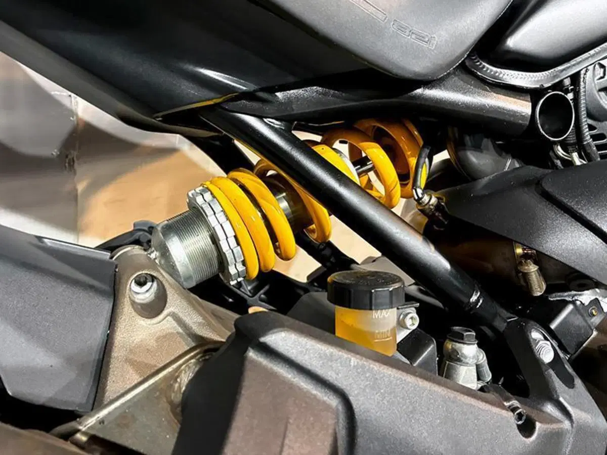 Ducati Monster 821 ABS (2014 - 17) (9)