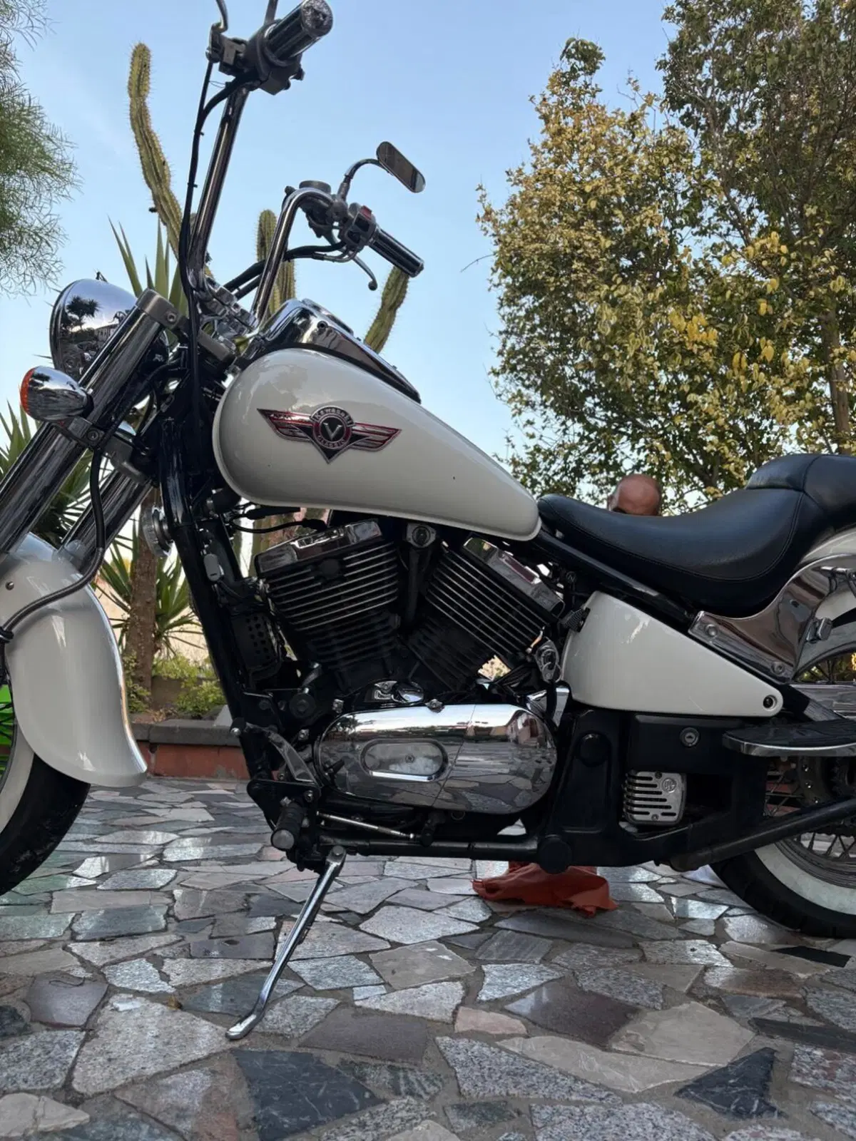 Kawasaki VN 800 Classic (1996 - 00) (3)