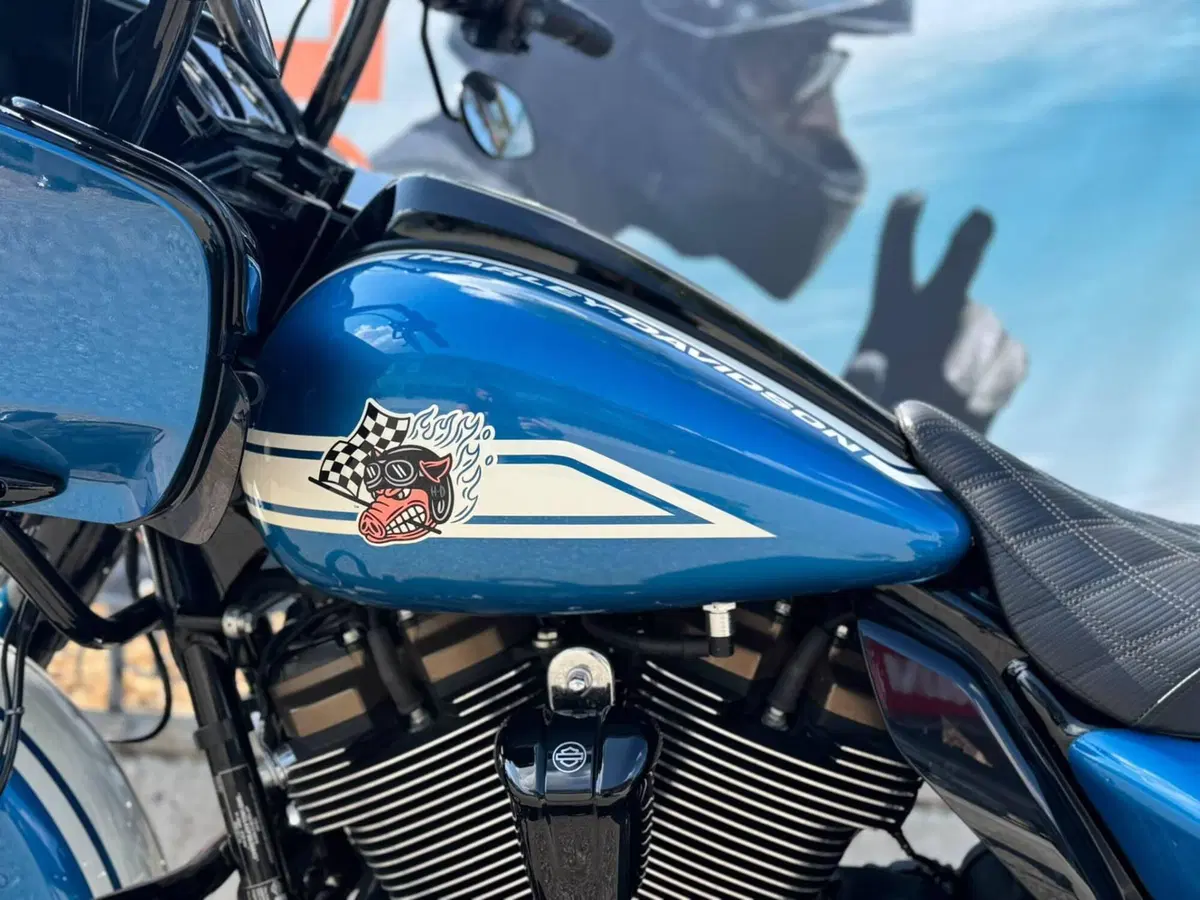 Harley-Davidson Road Glide ST Fast Johnnie Enthusiast (2023) (15)