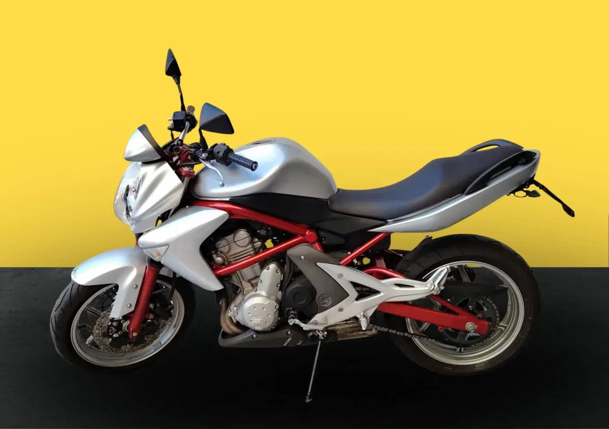 Kawasaki ER-6N (2006 - 09)