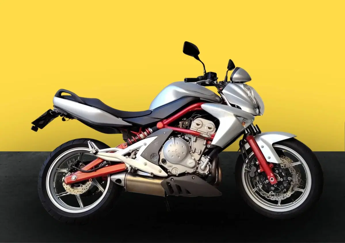 Kawasaki ER-6N (2006 - 09) (3)