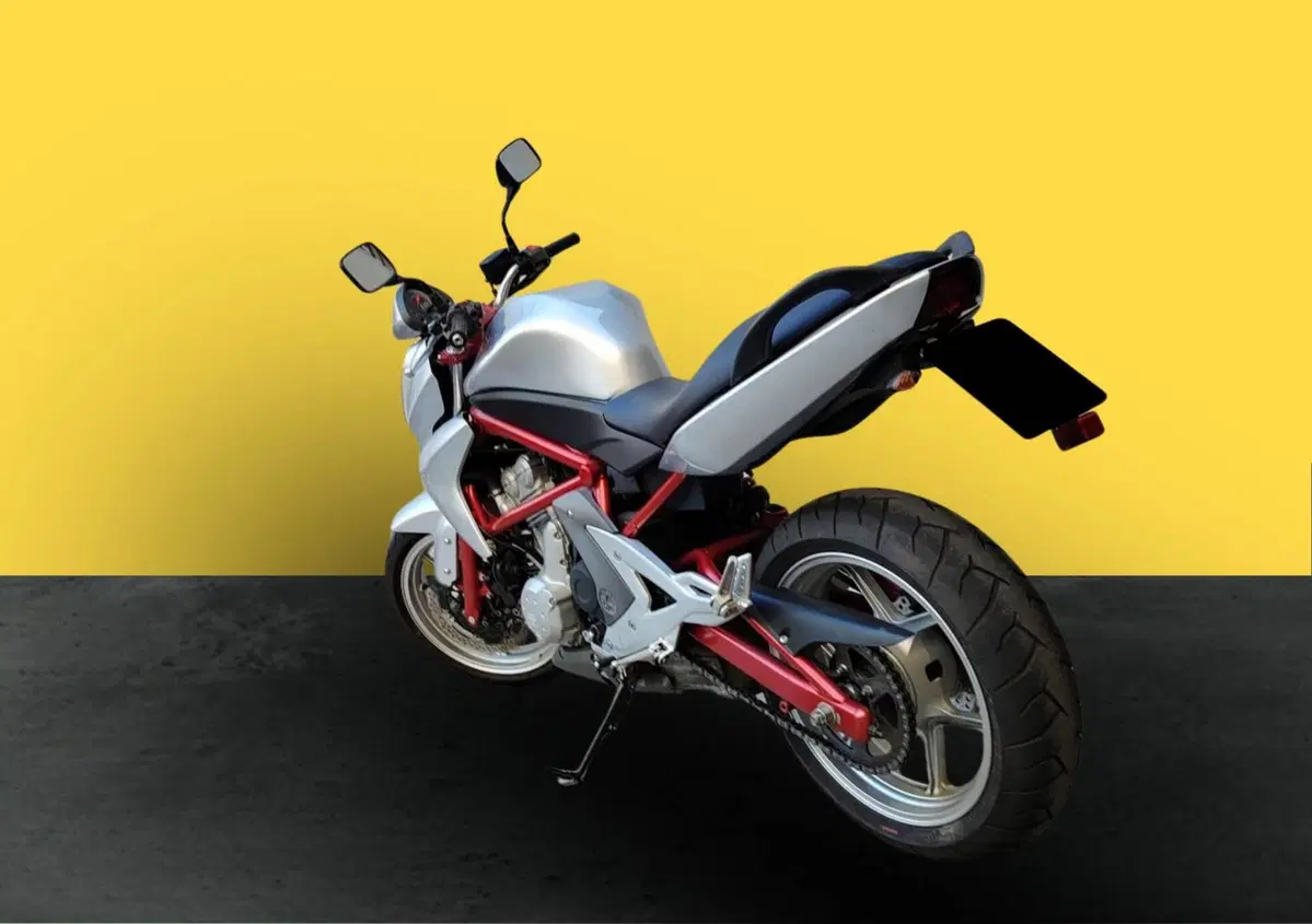 Kawasaki ER-6N (2006 - 09) (4)