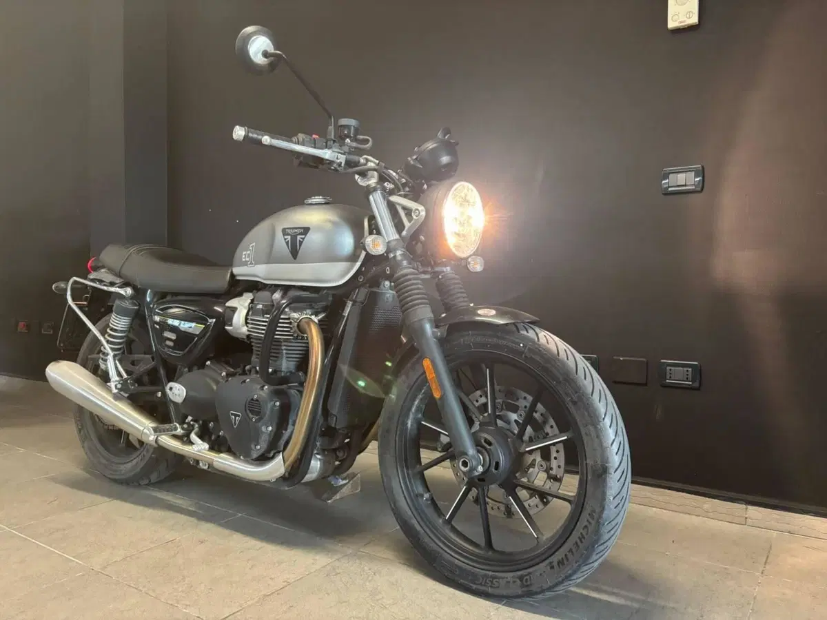 Triumph Speed Twin 900 (2023 - 24) (3)