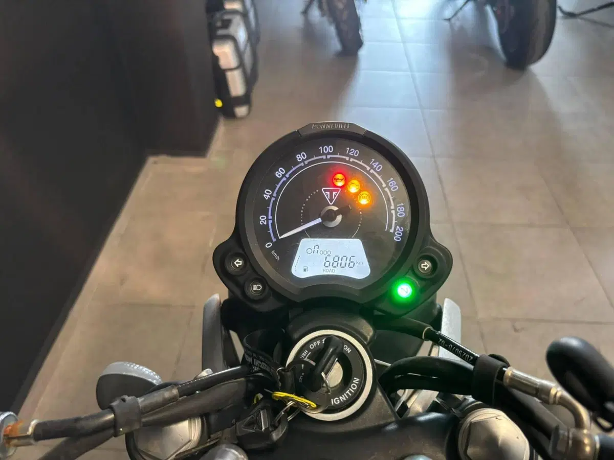 Triumph Speed Twin 900 (2023 - 24) (4)
