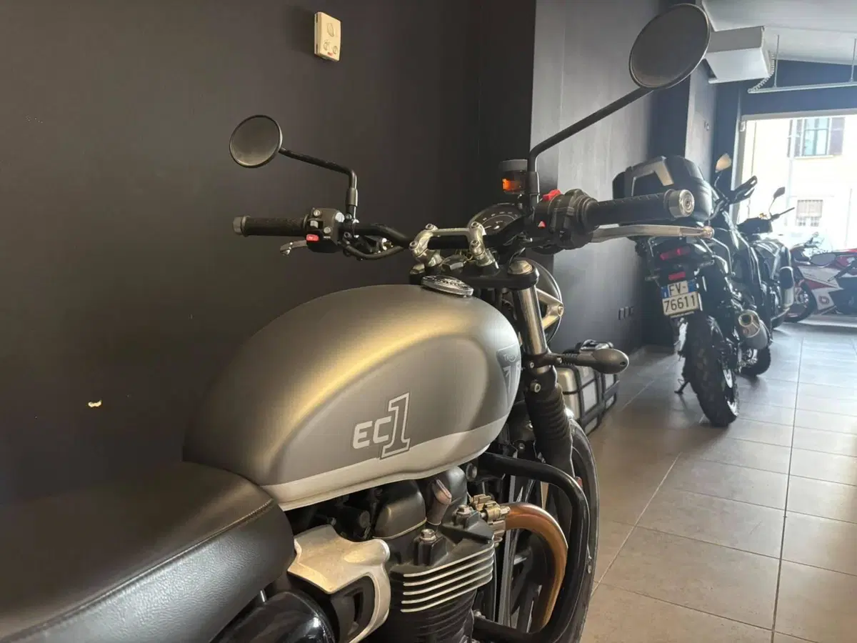 Triumph Speed Twin 900 (2023 - 24) (5)