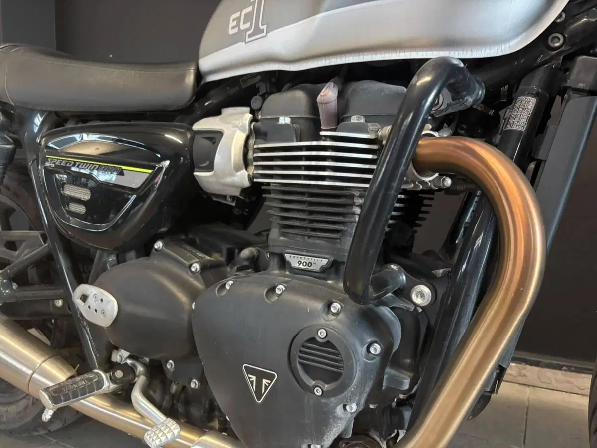 Triumph Speed Twin 900 (2023 - 24) (6)