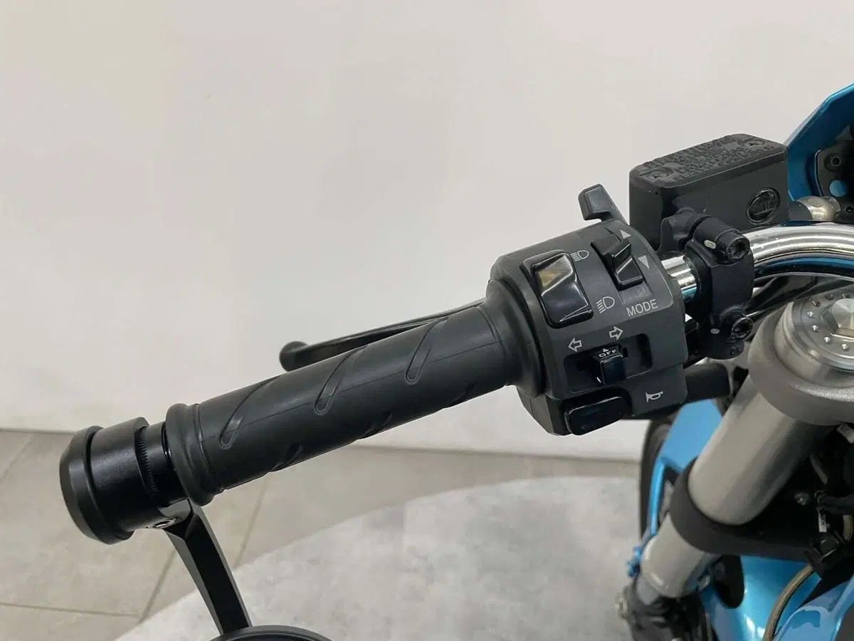 Ducati Monster 696 Plus (2007 - 14) (7)