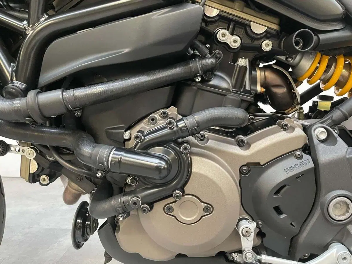 Ducati Monster 821 Dark ABS (2014 - 16) (6)