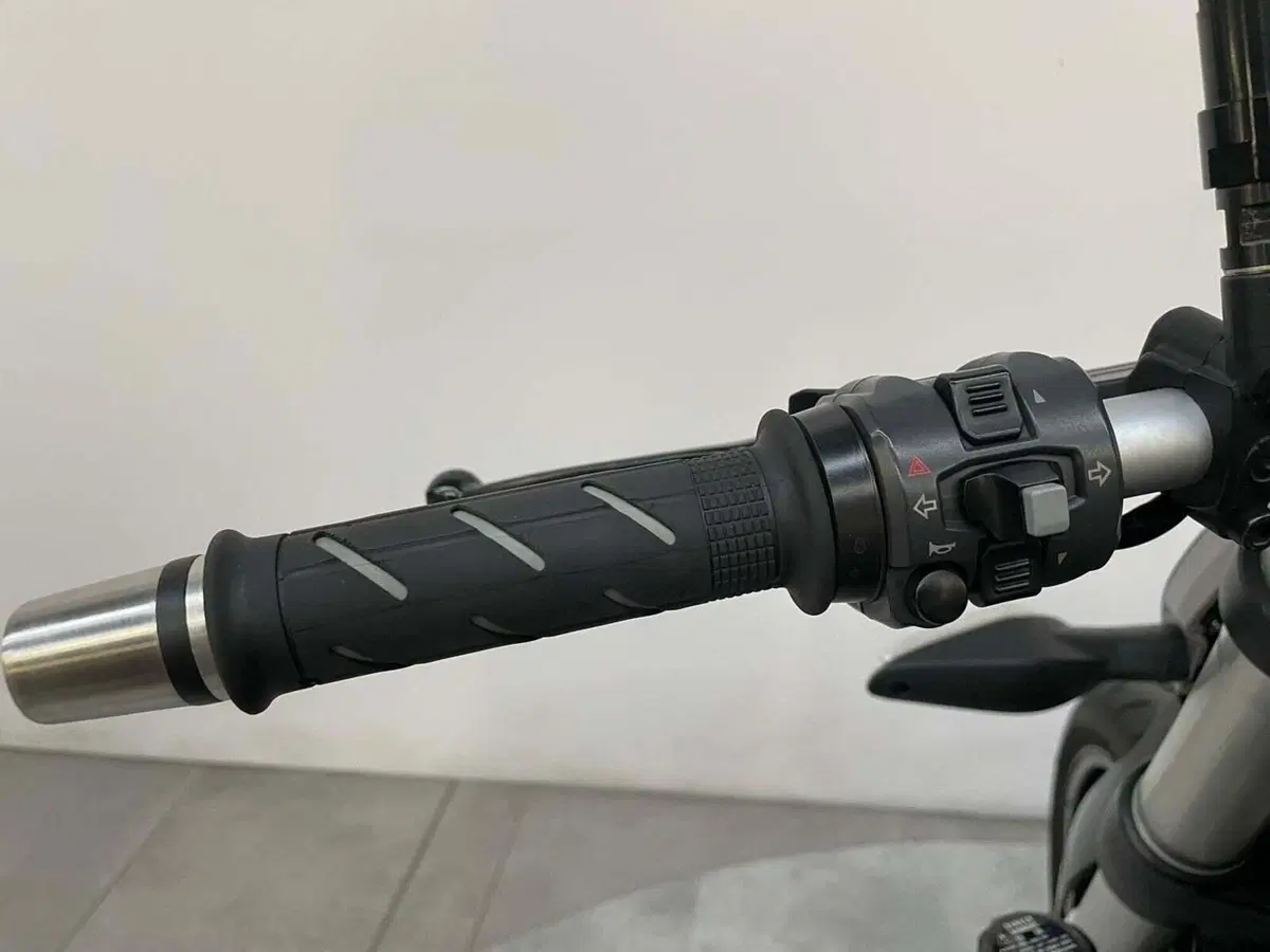 Ducati Monster 821 Dark ABS (2014 - 16) (7)