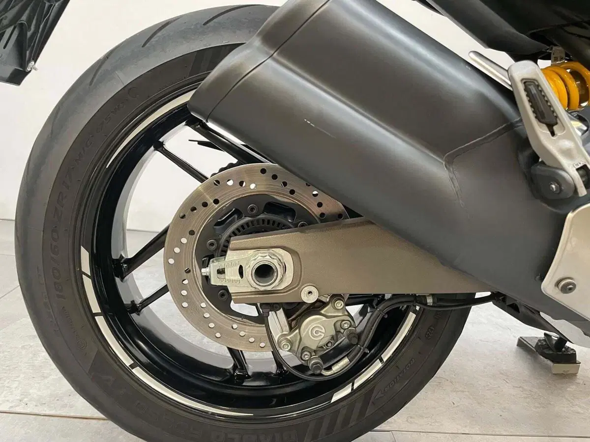 Ducati Monster 821 Dark ABS (2014 - 16) (9)