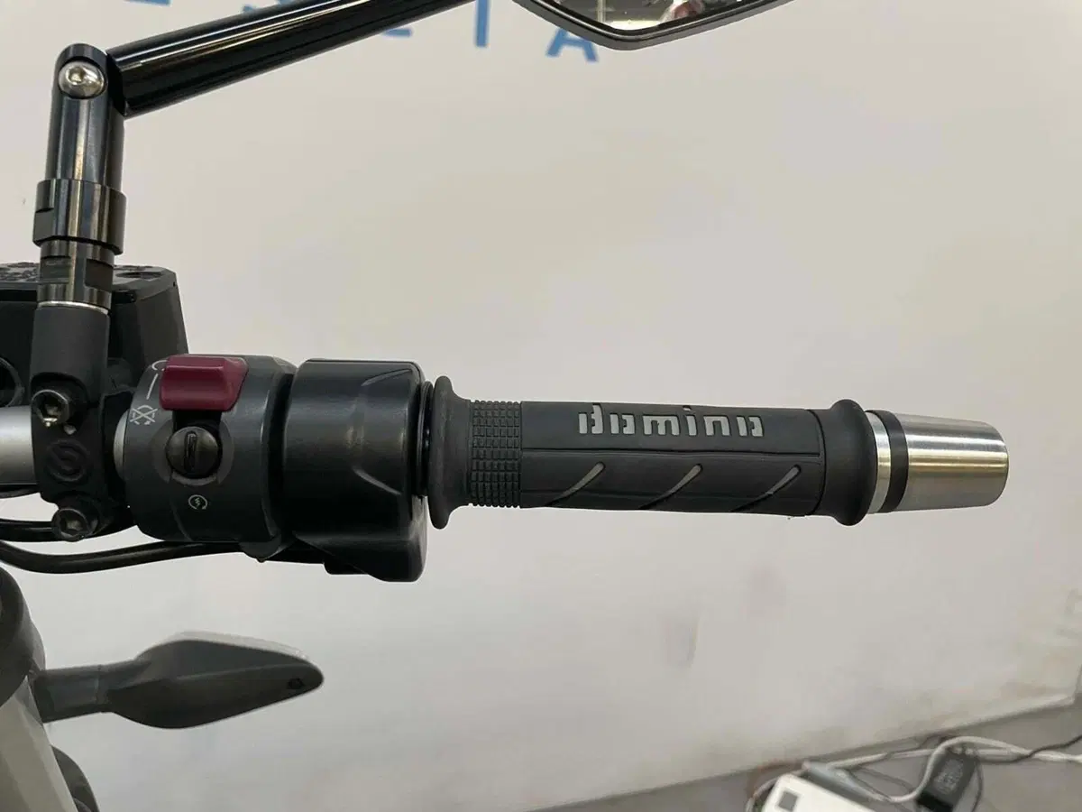 Ducati Monster 821 Dark ABS (2014 - 16) (13)