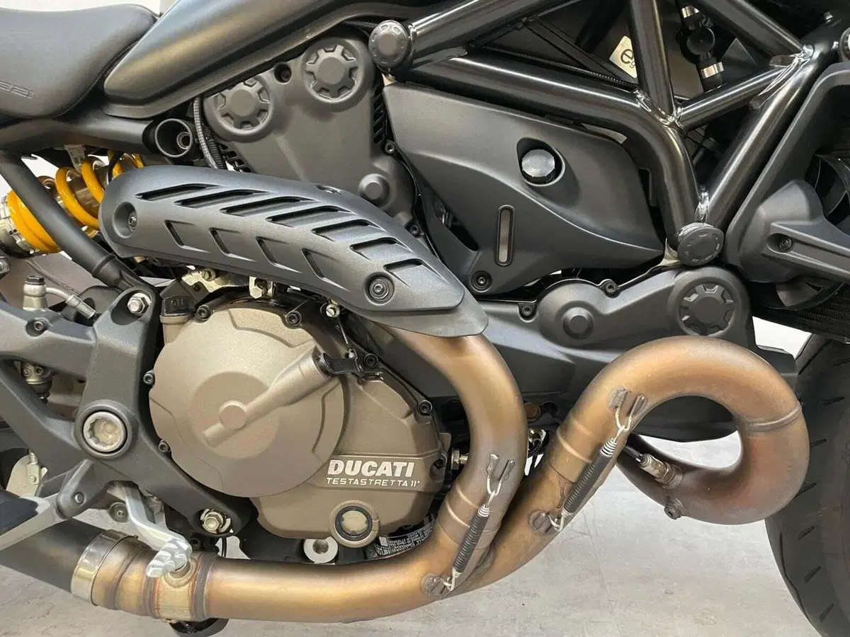 Ducati Monster 821 Dark ABS (2014 - 16) (15)