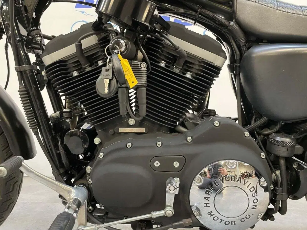 Harley-Davidson 883 R (2004 - 05) - XL 883R (11)