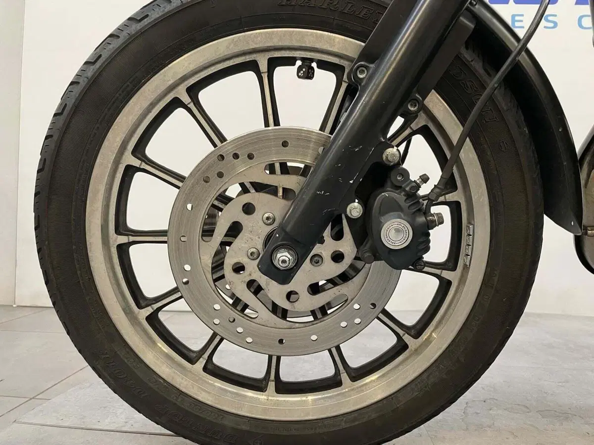 Harley-Davidson 883 R (2004 - 05) - XL 883R (12)