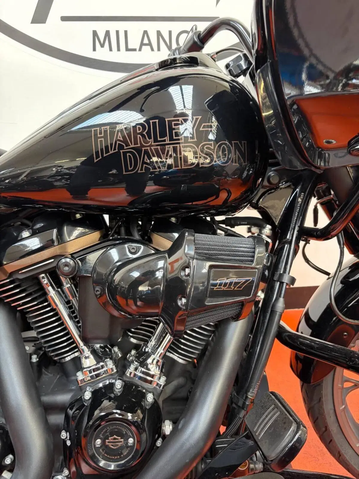 Harley-Davidson Road Glide ST (2022 - 23) (5)