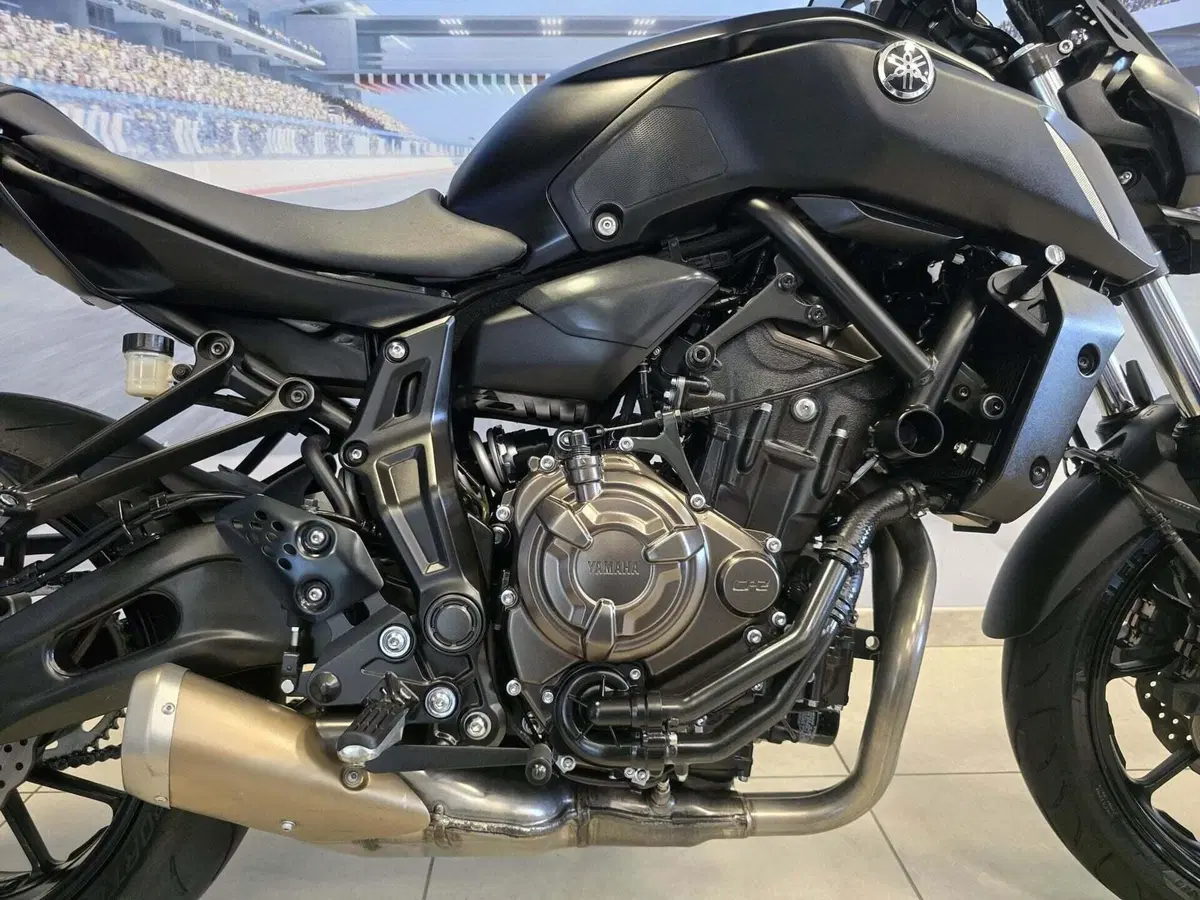 Yamaha MT-07 (2018 - 20) (19)
