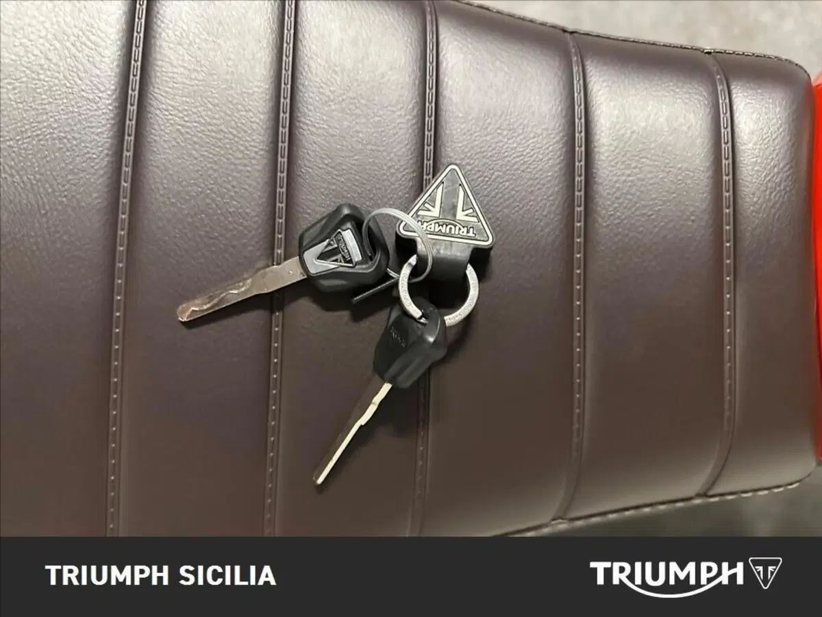 Triumph Scrambler 400 X (2024 - 26) (18)