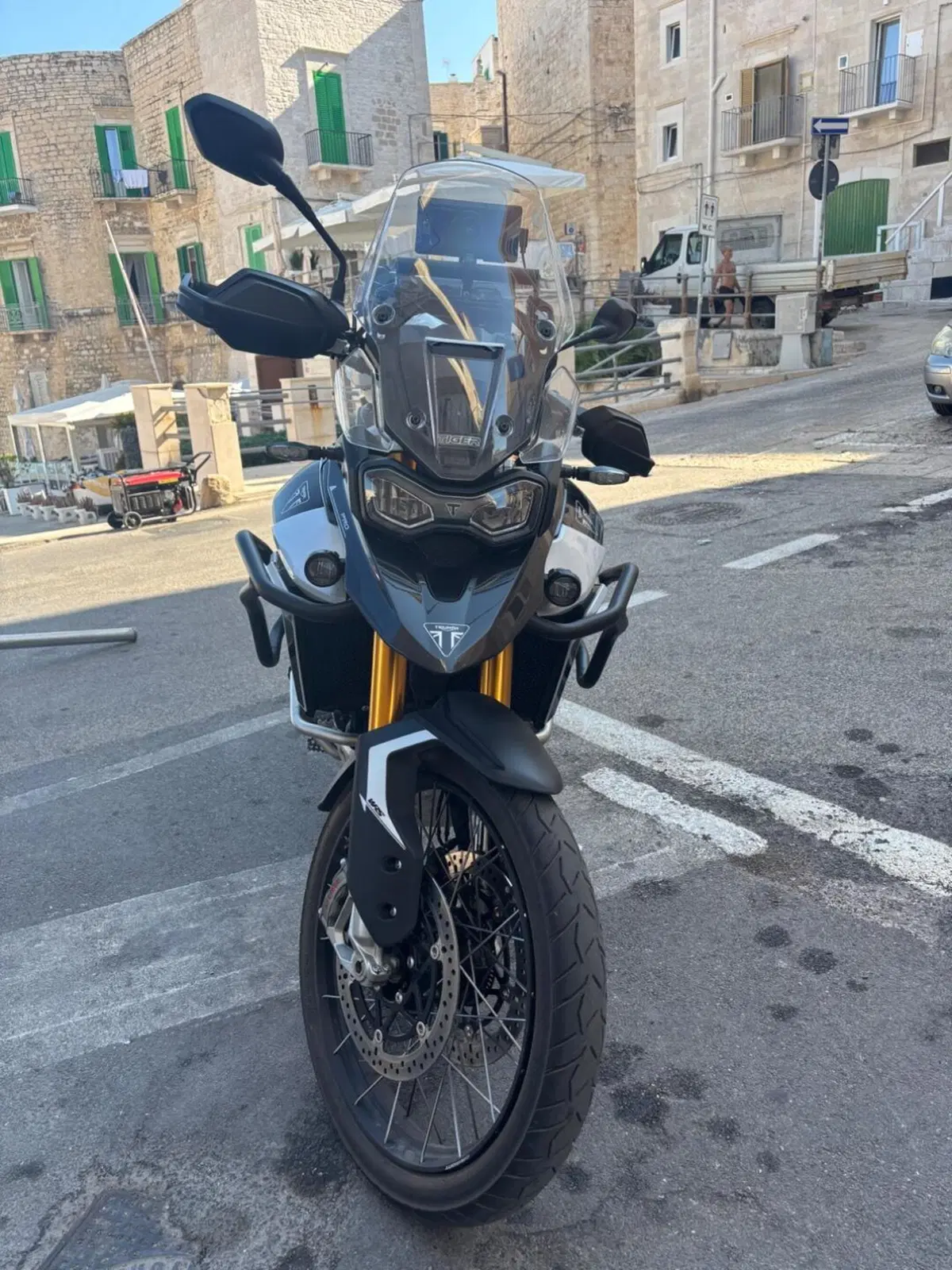 Triumph Tiger 900 Rally Pro (2024 - 26) (3)