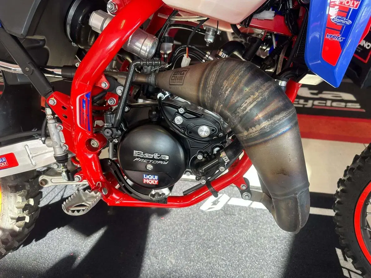 Betamotor RR 50 Enduro Racing (2021 - 24) (11)