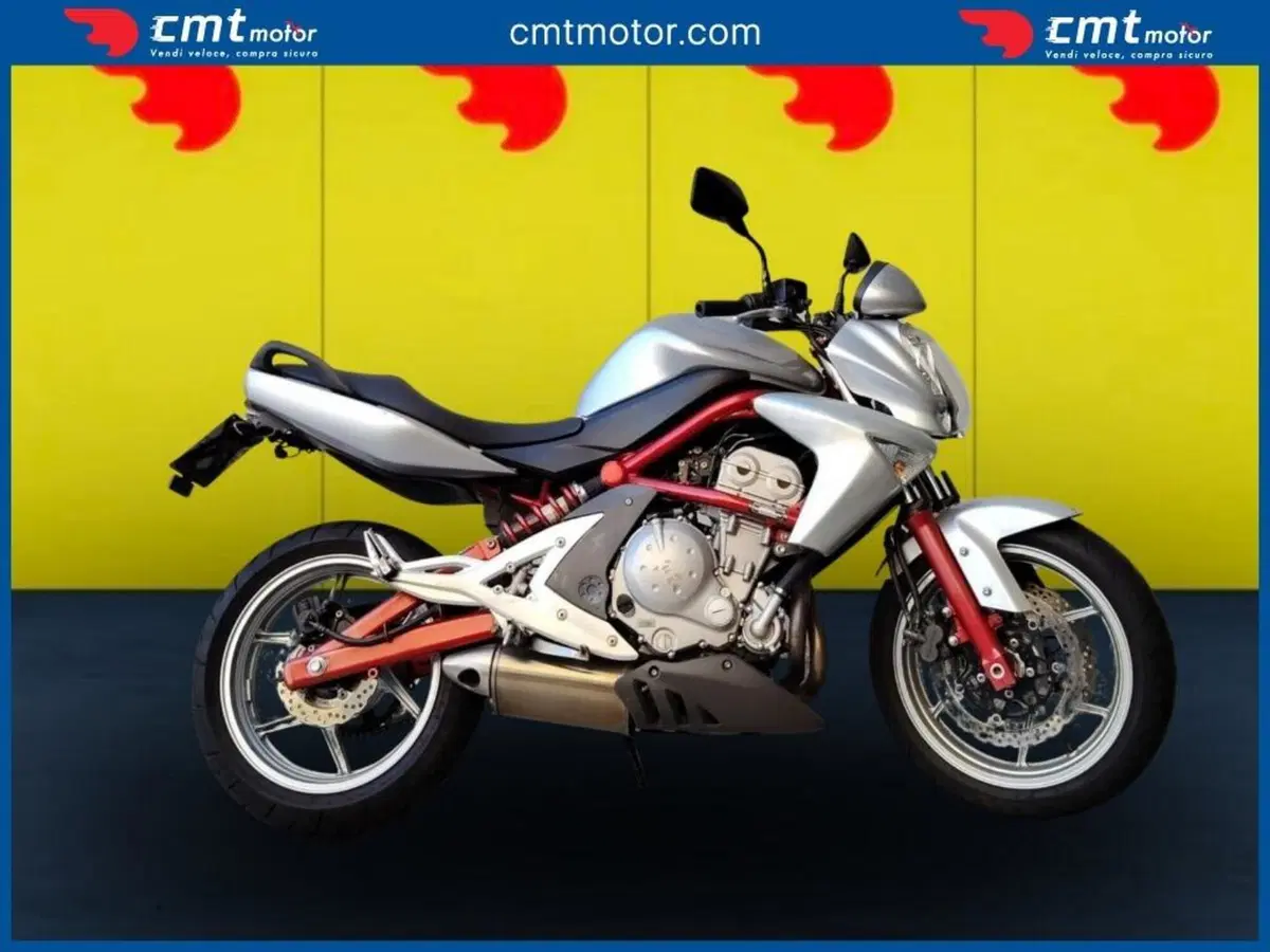 Kawasaki ER-6N (2006 - 09) (3)