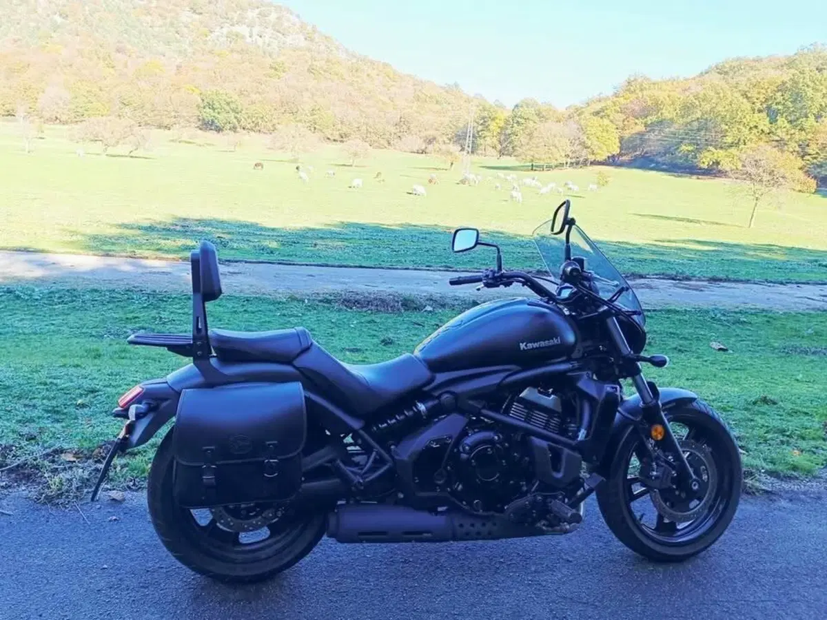 Kawasaki Vulcan S (2025 - 26) (6)