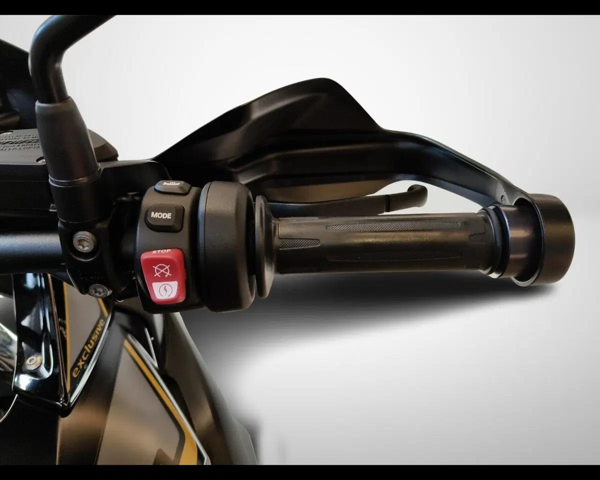 Bmw R 1250 GS (2019 - 20) (11)