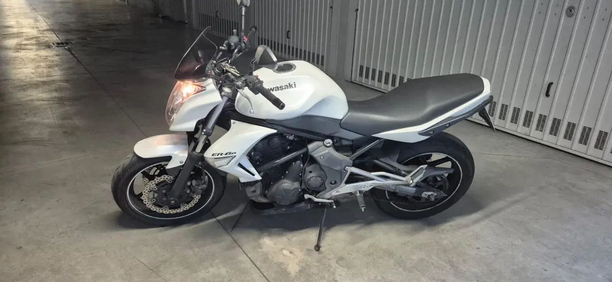 Kawasaki ER-6N (2009 - 11) (2)