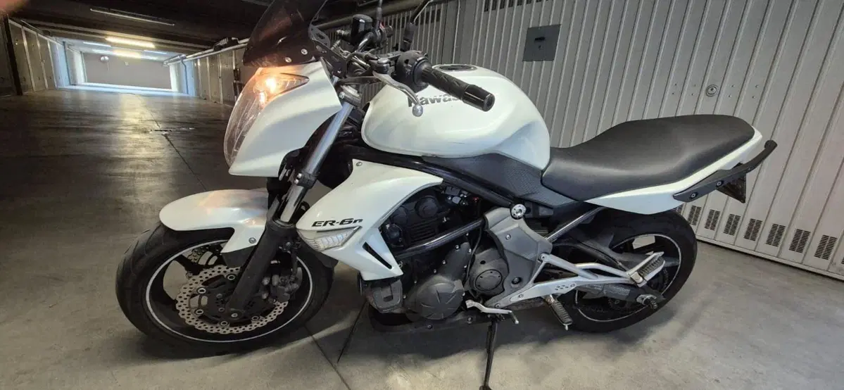 Kawasaki ER-6N (2009 - 11) (3)
