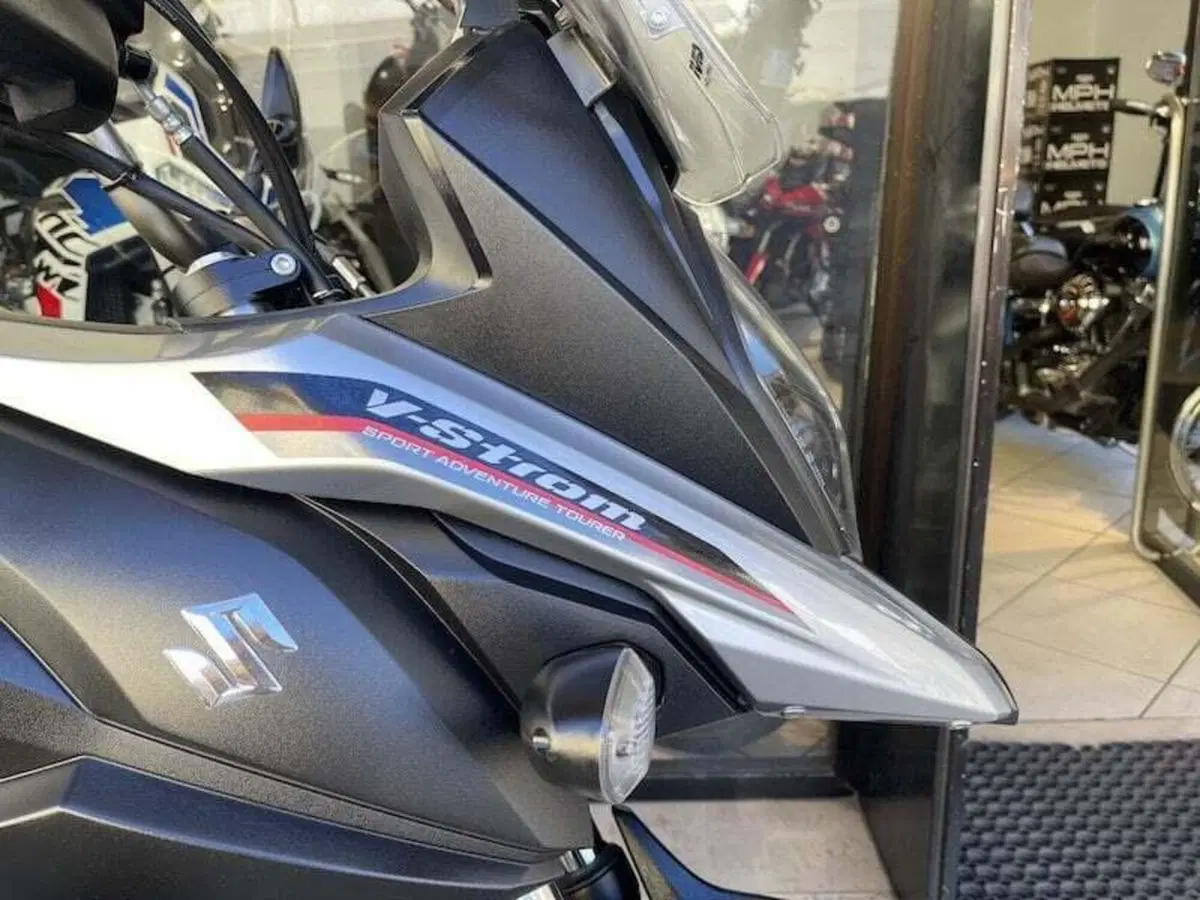 Suzuki V-Strom 650 ABS (2017 - 20) (17)