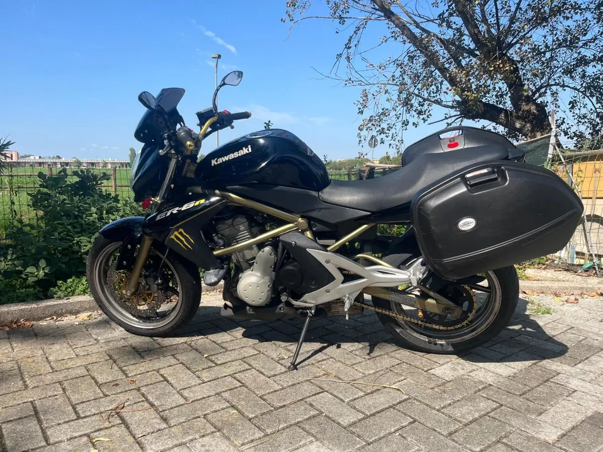 Kawasaki ER-6N (2006 - 09)