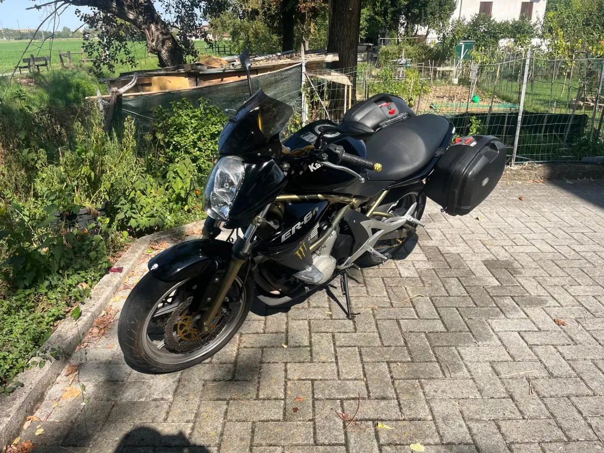 Kawasaki ER-6N (2006 - 09) (2)