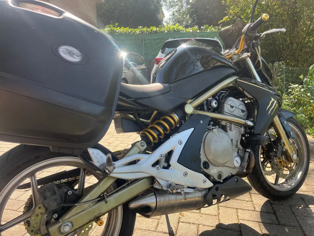 Kawasaki ER-6N (2006 - 09) (3)