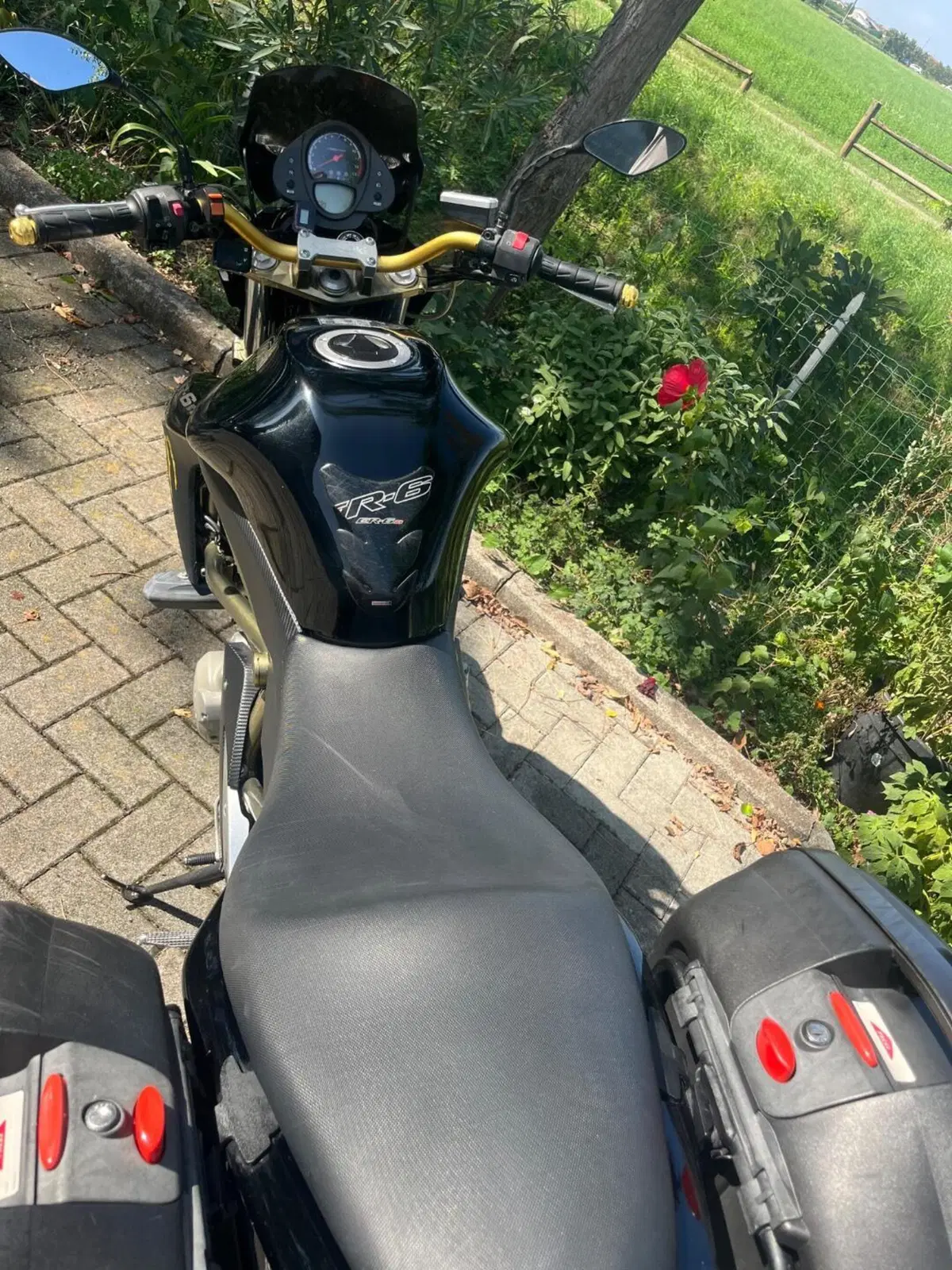 Kawasaki ER-6N (2006 - 09) (4)