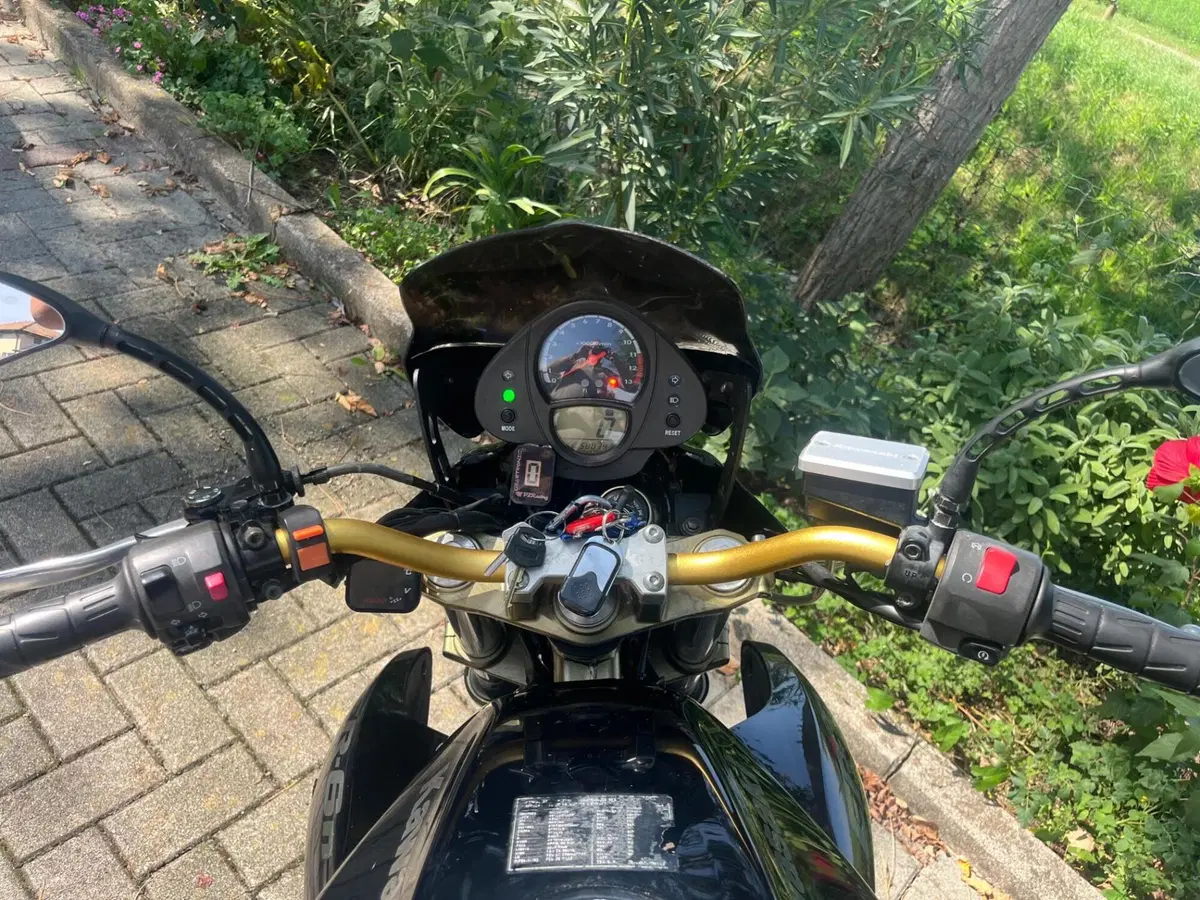 Kawasaki ER-6N (2006 - 09) (5)