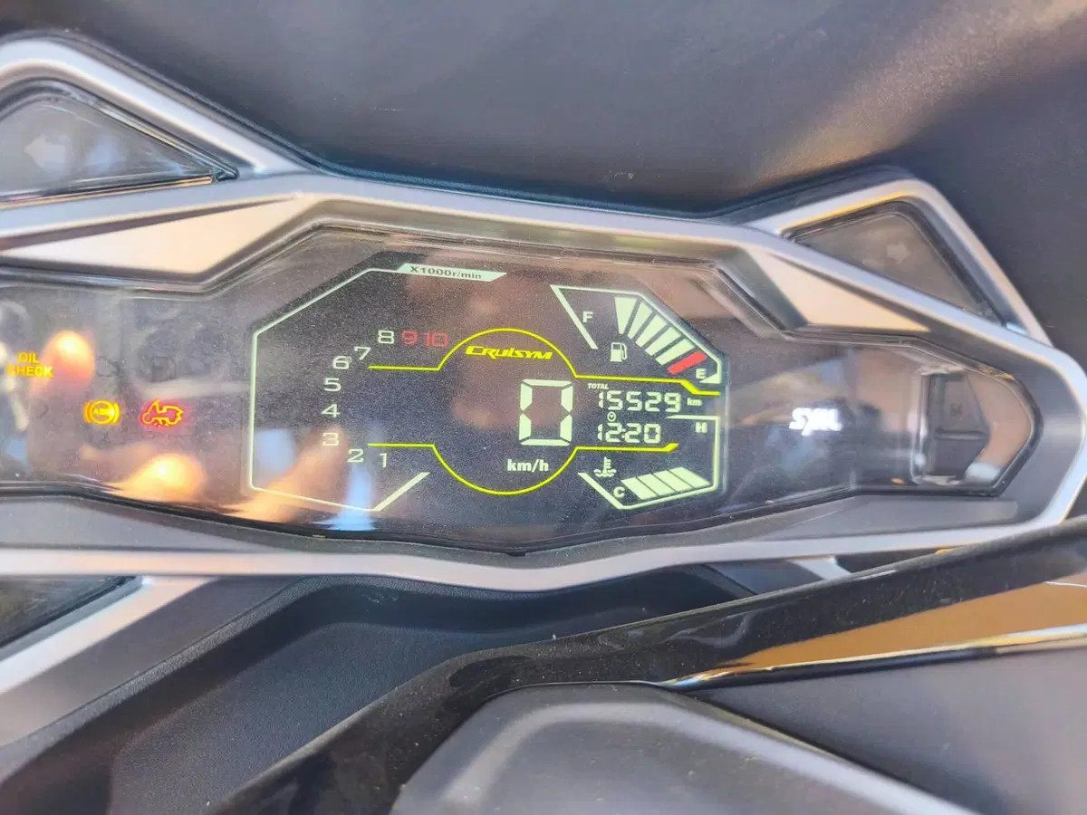Sym Cruisym 300 (2021 - 24) (2)