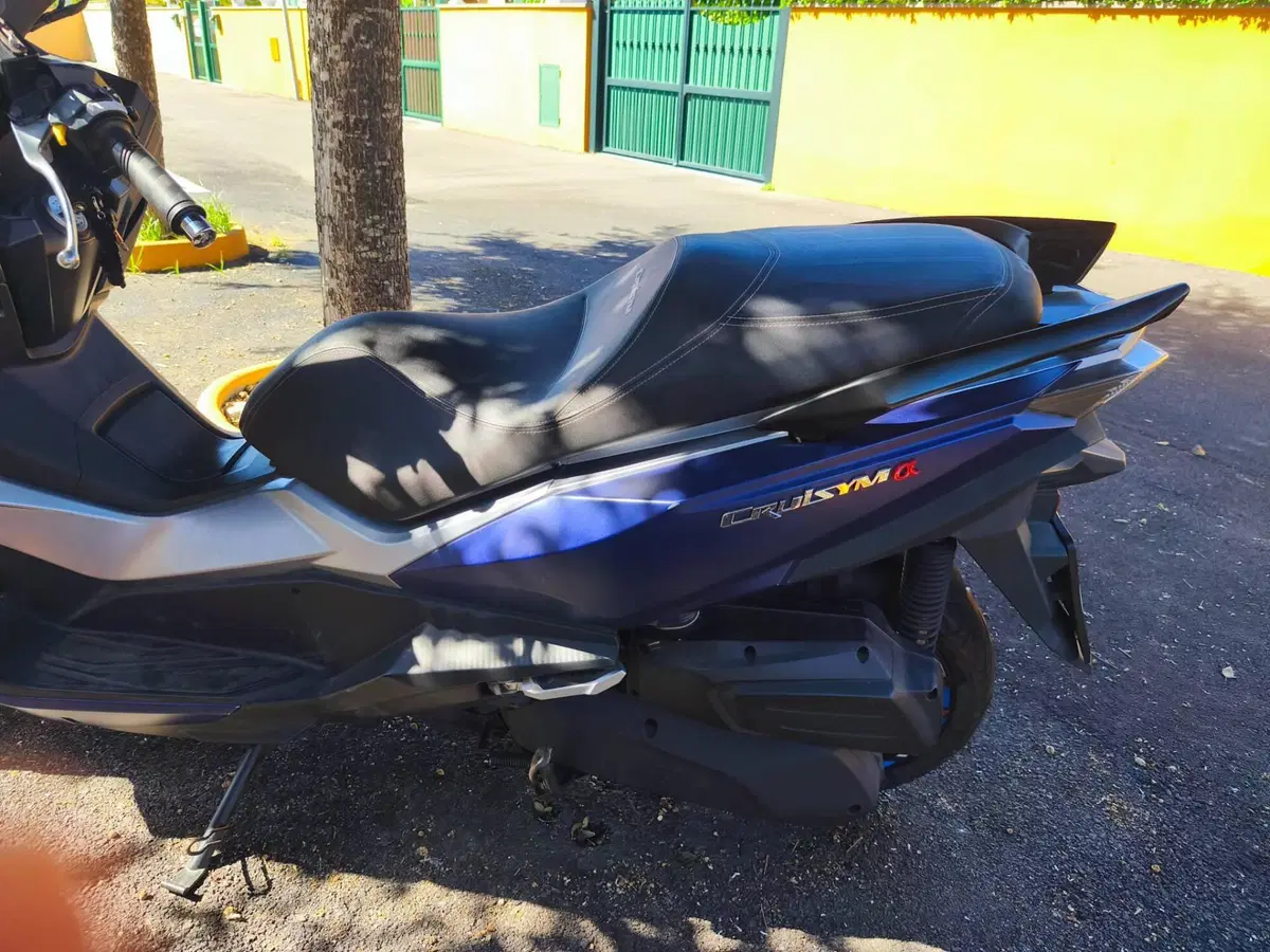 Sym Cruisym 300 (2021 - 24) (4)