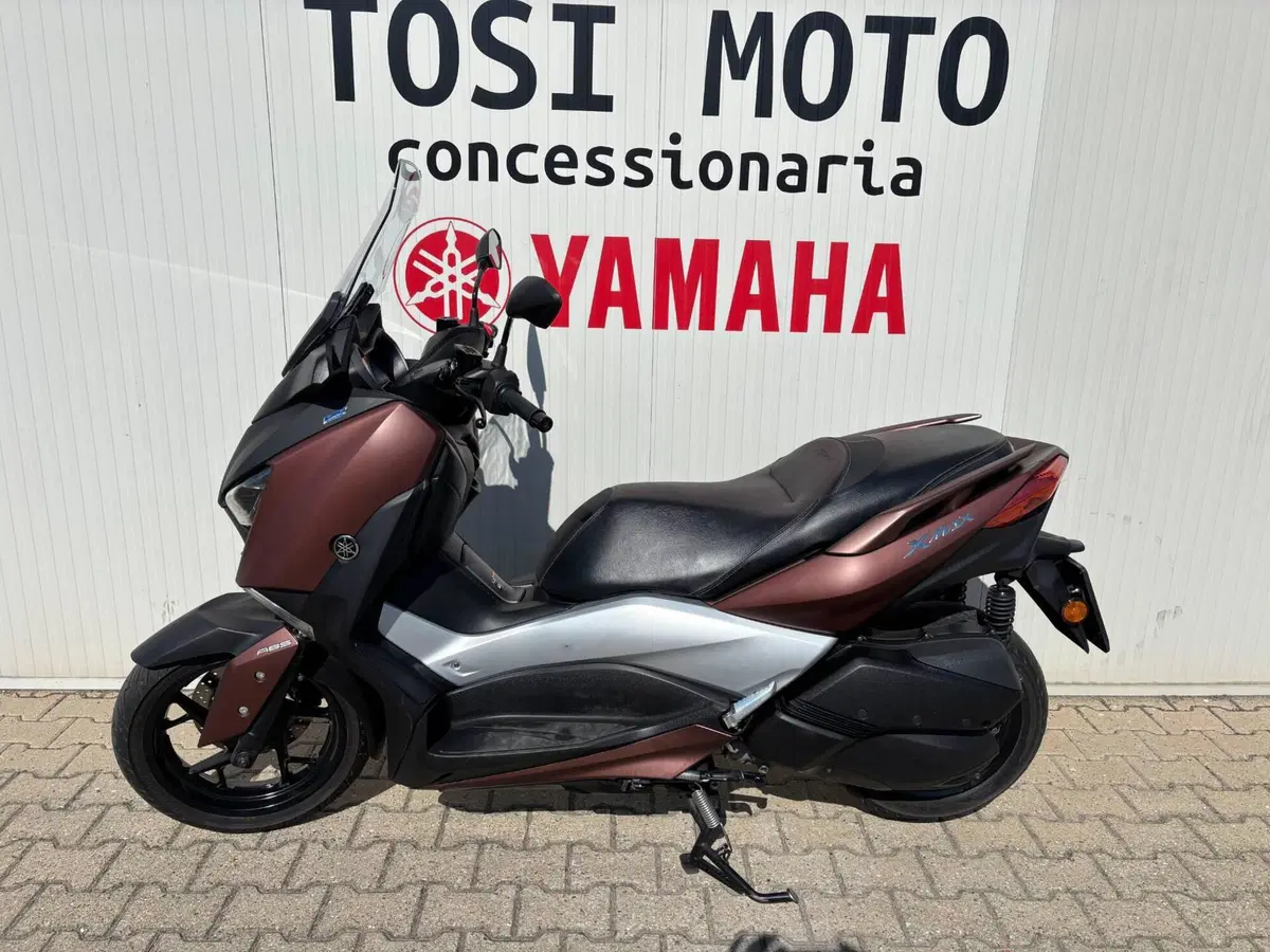Yamaha X-Max 300 ABS (2017 - 20) (2)