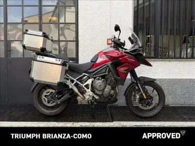 Triumph Tiger 1200 GT Pro (2024 - 26) usata