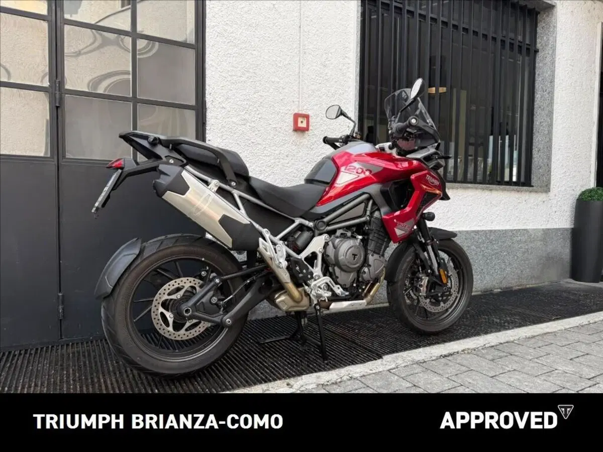 Triumph Tiger 1200 GT Pro (2024 - 26) (3)