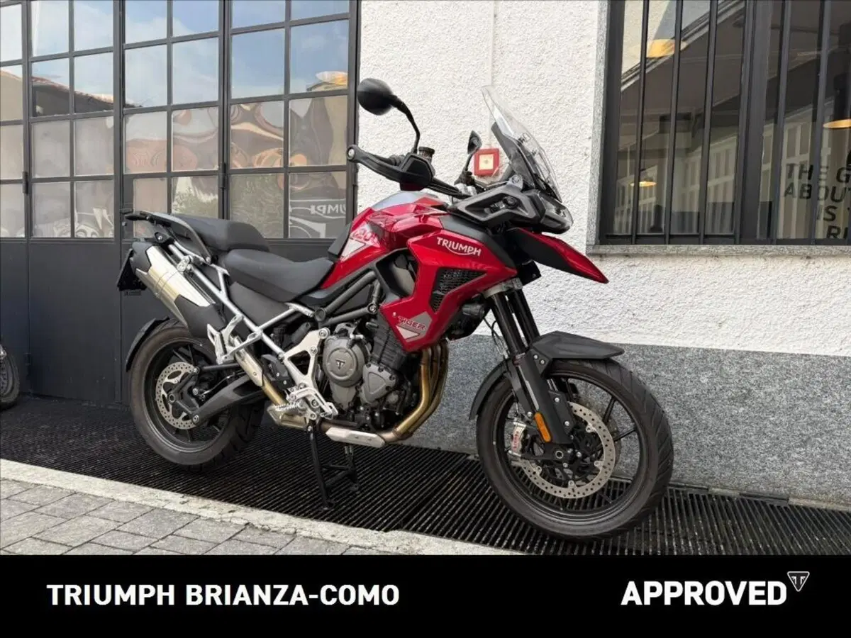 Triumph Tiger 1200 GT Pro (2024 - 26) (2)
