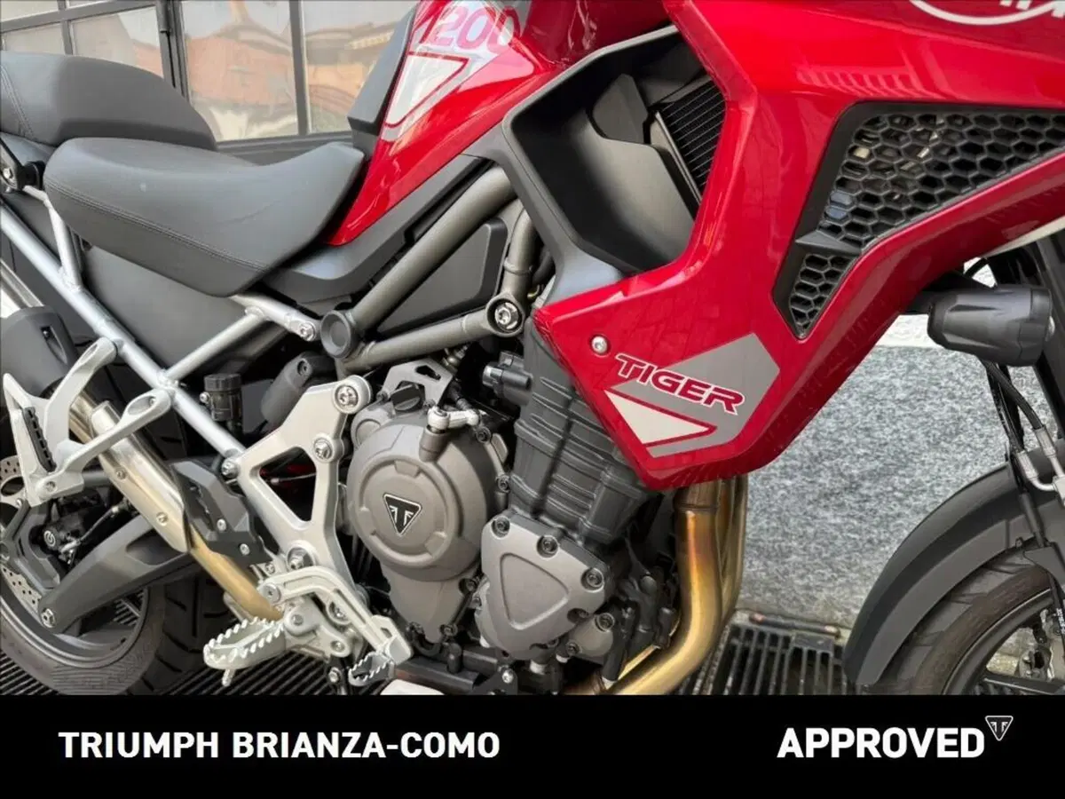 Triumph Tiger 1200 GT Pro (2024 - 26) (4)