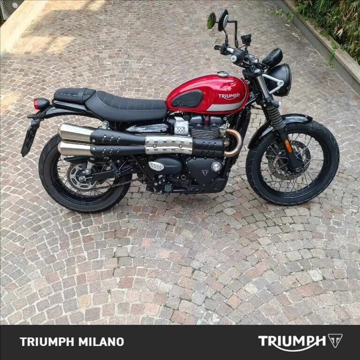Triumph Street Scrambler 900 (2017 - 18)