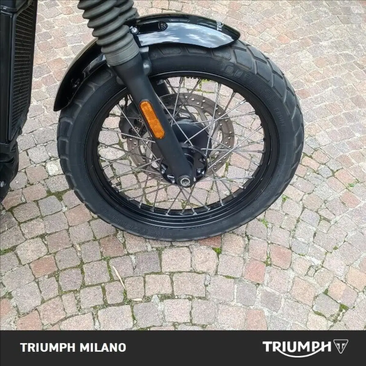 Triumph Street Scrambler 900 (2017 - 18) (4)